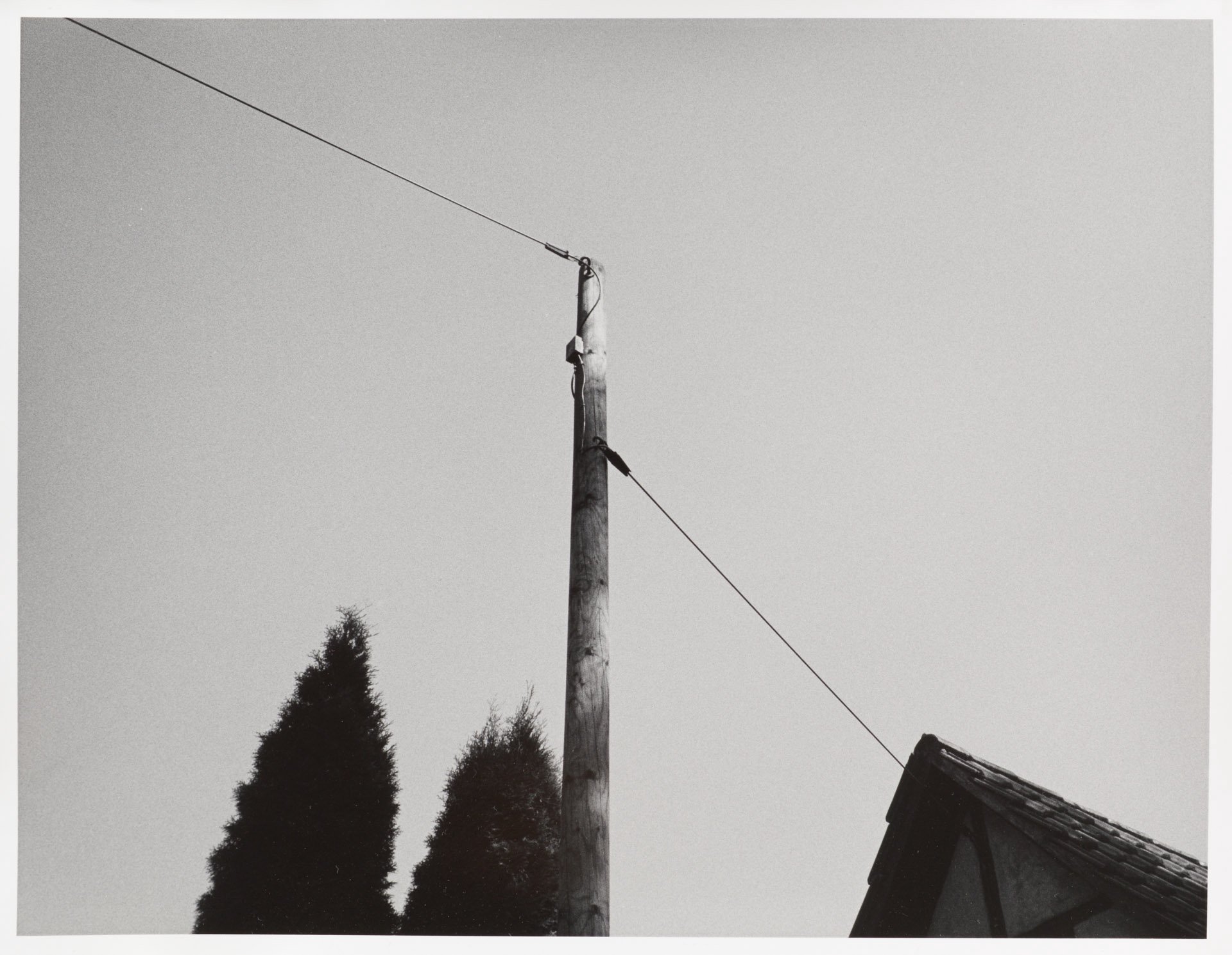 © Martin Frech: Telefonkabel (Yashica T5, Kentmere 400, Kodak Xtol; Print auf Adox MCC 110 in Moersch ECO 4812)