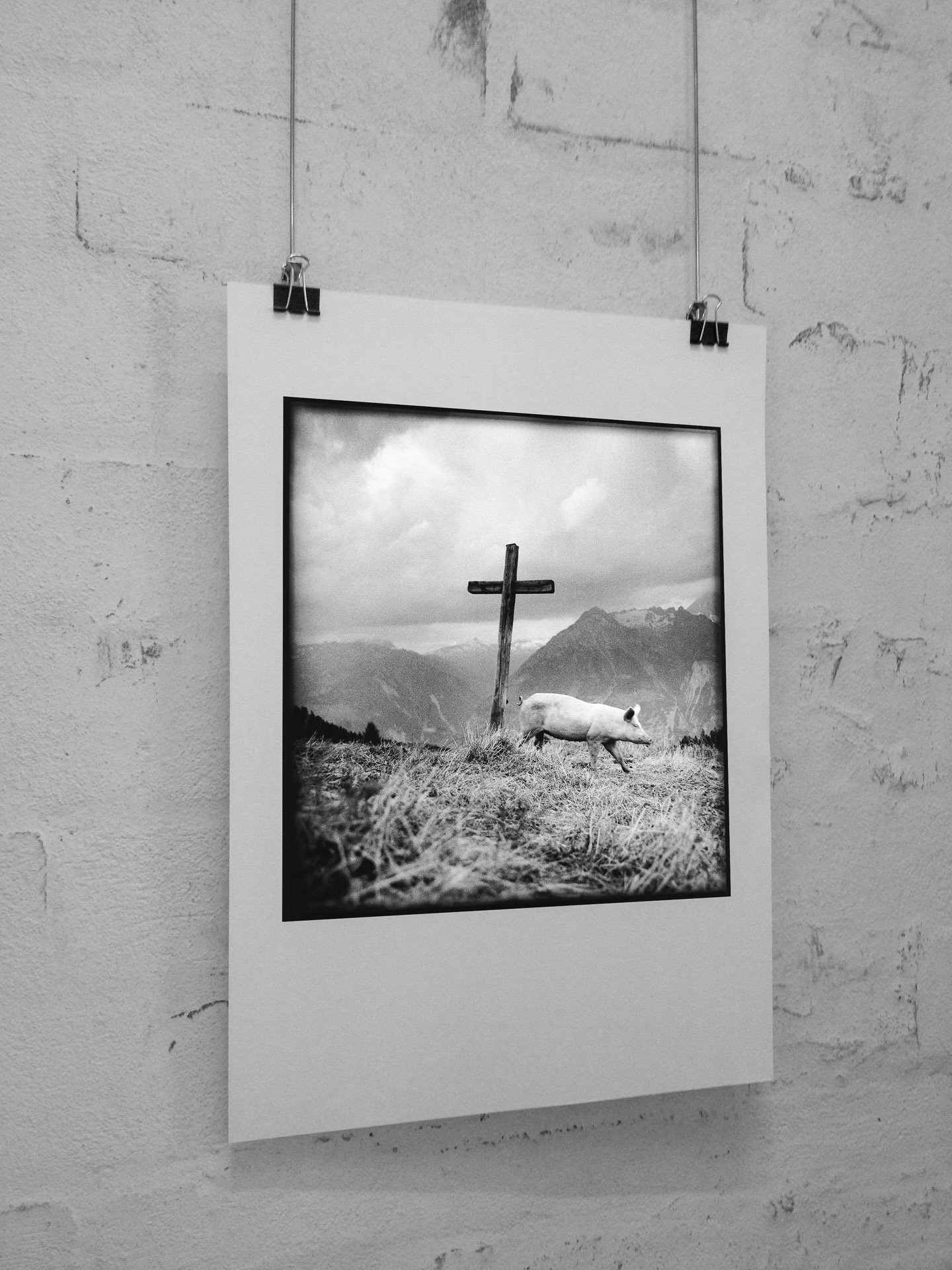 Ein Bild hängt vor einer Wand. Auf dem Bild ist ein Schwein neben einem Begkreuz zu sehen, im Hintergrund Berge. (Foto: Tobias D. Kern, 4/2016)