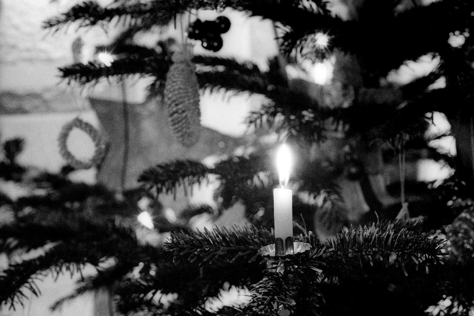 Kerze am Weihnachts­baum (Foto: Martin Frech, 1/2008)