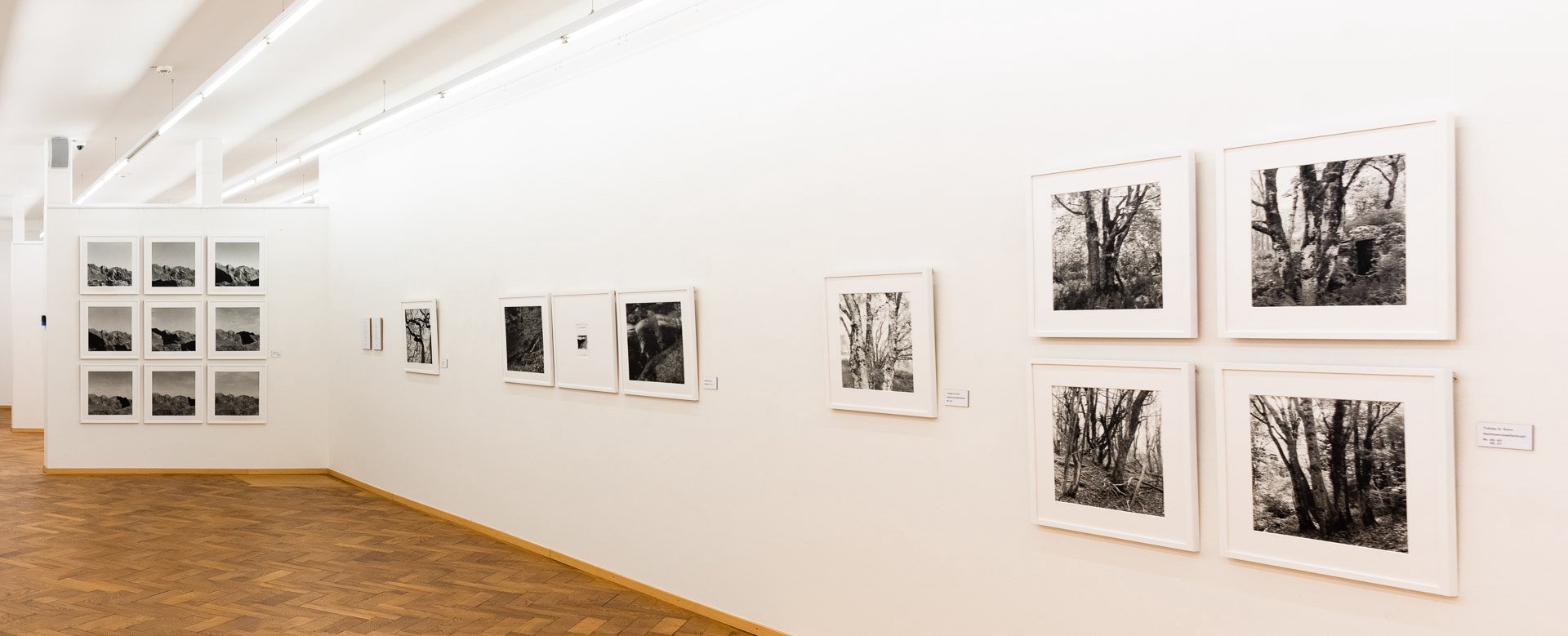 Blick in die Ausstellung Wandlungen – Mutations in der Kreisgalerie Schloss Meßkirch (Foto: Martin Frech)